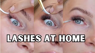 how to apply lash clusters for beginners  tips [upl. by Aibos]