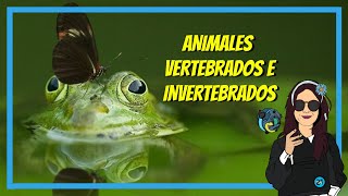 Los animales VERTEBRADOS e INVERTEBRADOS para NIÑOS ¿Cuáles son ¿Dónde viven Características 🐢🐻 🐞🦁 [upl. by Brannon555]