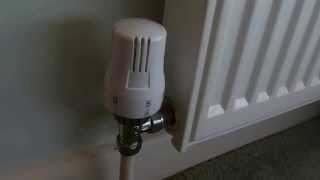 How to fix a thermostatic radiator valve if your radiator is not heating up [upl. by Cardwell990]