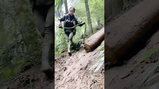 The process of dragging logs down the mountain [upl. by Nnairac]