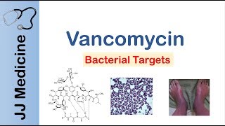 Glycopeptide Antibiotics in 4 min Vancomycin antibiotics [upl. by Mcclish82]