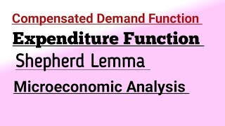 Compensated Demand Function Expenditure Function Shepherd Lemma Microeconomic Analysis mec101 maec [upl. by Hashum]