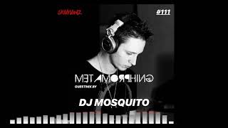 Metamorphing Podcast 111  Dj Mosquito [upl. by Livvie]