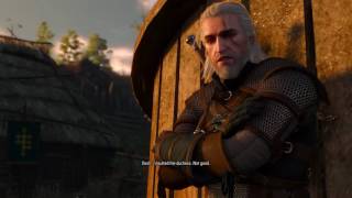 Witcher 3  Blood and Wine First Impressions [upl. by Aicatsue]