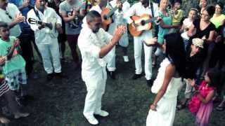 Groupe Gipsy David El Gitano Clip mariage Gitan je taime tellement gitan davidelgitano gipsy [upl. by Ricketts]