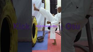 Front kick push training shortsvideo [upl. by Eca]