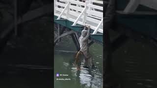 Что вообще происходит 😂 fishing carp рыбалка carpfishing карп рыбалка2024 carps рек fish [upl. by Assilen]