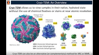 Electron Microscopy for Biological Materials  Kristen Flatt  MRL  06182020 [upl. by Thea]