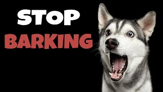 High Pitched Dog Whistle Sound To Stop Dogs Barking [upl. by Ultann]