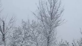 Gilgit GB Baltistan  Gilgit Chitral Snow fall  Snowfall Pakistan  Winter in Pakistan [upl. by Irrej577]