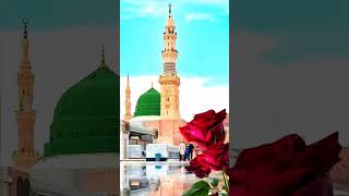 agmal raza kader islamicstatus [upl. by Einyaj273]