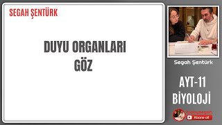 DUYU ORGANLARI  GÖZ  AYT BİYOLOJİ  11SINIF  YKS 2025 [upl. by Cointon]