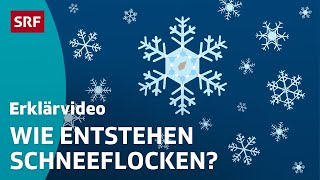 Wie Schnee entsteht – einfach erklärt  Kindervideos  SRF Kids [upl. by Acinod]