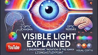 quotHow Our Eyes Perceive Light The Science of Vision Explainedquot  science lssinghstudypoint [upl. by Ajup880]