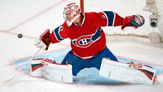 Best Saves in NHL History [upl. by Alle]