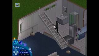 The Sims 1  Burglar Escapes [upl. by Paulina]