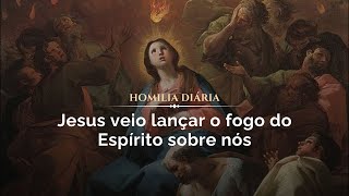 Homilia Diária  Jesus veio lançar o fogo do Espírito sobre nós 241024 Pe Gabriel Vila Verde [upl. by Arracot688]