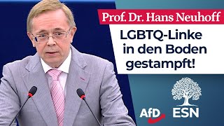 LGBTQLinke in den Boden gestampft – Prof Dr Hans Neuhoff AfD [upl. by Davide]