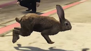 Bunny Trolling GTA 5 RP [upl. by Aria]