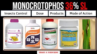 Monocrotophos 36 SL  Monocrotophos Insecticide  Uses  Dose  For which Insects  Mode of Action [upl. by Rikahs]