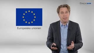 EU – en kort historik  EUkunskap del 3 [upl. by Ellasal]