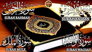 Surah Yaseen 🤲🏻 Surah Rehman 🤲🏻 Surah Mulk 🤲🏻 Surah Waqiah 🤲🏻 Beautiful Quran Recitation Ep 00115 [upl. by Serrano]