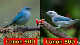 Canon EOS 90D VS Canon ESO 80D DSLR Camera Comparison [upl. by Emiatej]