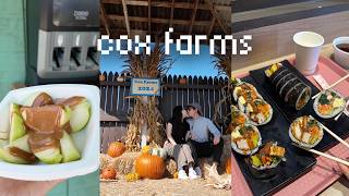 Cox Farms Fall Festival  Sirok Korean Street Food in Chantilly VA  caramel apples cider kimbap [upl. by Oinotla]