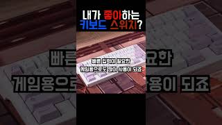 기계식 키보드 스위치의 종류와 특징 청축 적축 갈축 [upl. by Alim]