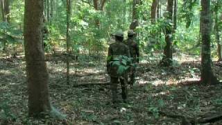 Segment 4 of 9 Monitoring Tigers  Line Transect PART 2 [upl. by Assirehc508]