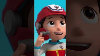 I cuccioli salvano la situazione  PAWPatrol Shorts Italiano [upl. by Rori]