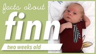 FACTS ABOUT FINN2 WEEKS OLD [upl. by Fleurette373]