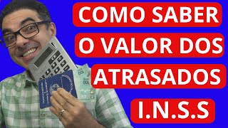 COMO FAZ PARA SABER O VALOR TOTAL DOS ATRASADOS DO PROCESSO CONTRA O INSS [upl. by Ameen529]