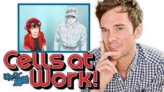 Real DOCTOR reacts to CELLS AT WORK Anime review [upl. by Fosdick]