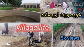 Pakistan Village Life  Beautiful Village Life  Amazing village life [upl. by Jamison833]