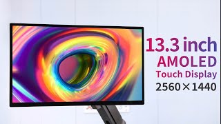 Waveshare 133inch 2K AMOLED Touch Display 2560×1440 HDMITypeC Interface for Raspberry Pi etc [upl. by Arimay]