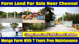 Farm Land For Sale Near Chennai  Farm Land For Sale Near Chengalpattu Farm Land For Sale farmland [upl. by Ilatfen]