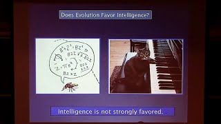 Prospects for Intelligent Life in the Universe  Geoff Marcy [upl. by Haleeuqa]