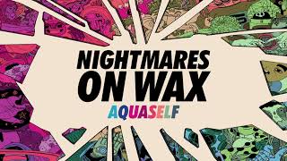 Nightmares On Wax  Aquaself Official Audio [upl. by Ziana]