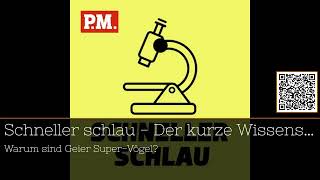 quotGeier Die geheimen Helden der Natur in 15 Minuten enthülltquot podcast 15Minuten [upl. by Denys]