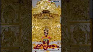 kahva Goga bapa mandir video 2023viral shorts video [upl. by Danette369]