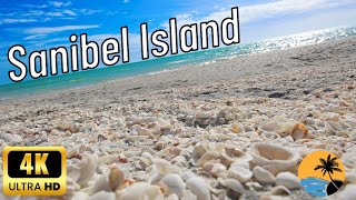 Sanibel Island Florida  Lighthouse Beach [upl. by Etnahsal]