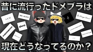 昔に流行ったドメブラが今どうなってるのかを徹底解説！【ゆっくり解説】【ファッション】 [upl. by Elnore]