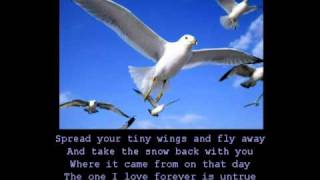 Anne Murray  Snowbird with lyrics [upl. by Aicinoid]