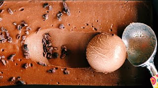 Irresistible Homemade Chocolate Ice Cream Recipe Creamy Rich amp Easy to Make [upl. by Llerral]