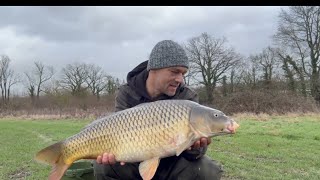 UK Carp Diaries 145 OPFF 48 HRS [upl. by Navoj]