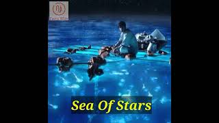 Vaadhoo Island Maldives  Sea of Stars  Dinoflagellates [upl. by Htiffirg]