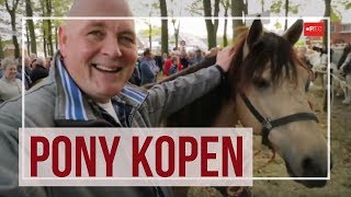 Pony kopen op de Zuidlaardermarkt  handjeklap paardenmarkt  RTV Noord [upl. by Velleman]