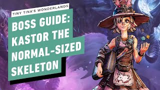 Tiny Tinas Wonderlands Walkthrough  Boss Fight Kastor the NormalSized Skeleton [upl. by Sari]