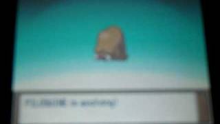 Pokemon Platinum Getting Mamoswine [upl. by Mcknight529]